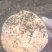 西瓜红红薯基地香甜软糯现挖先发品质保证欢迎致电