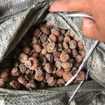 贵州刺梨干果，果铺