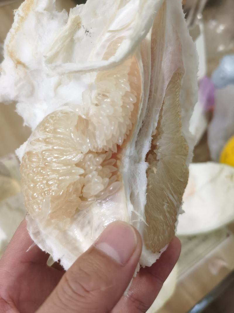福建平和蜜柚、白心、红心、三红柚，整车批发，价格便宜。