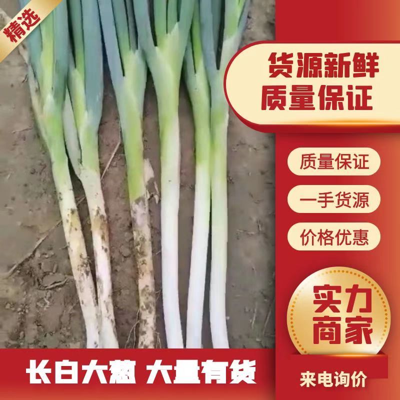 本地长白大葱，一手货源，代发全国，诚信经营