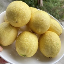 四川宜宾优力克柠檬