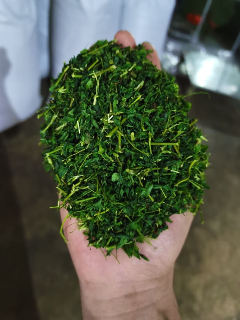 护肝茶