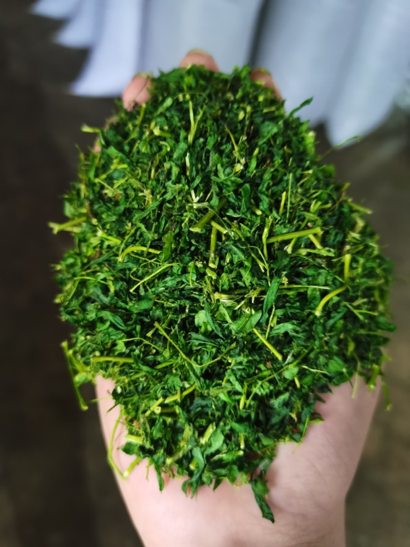 护肝茶