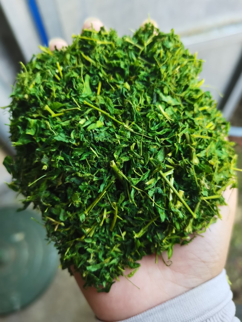 护肝茶