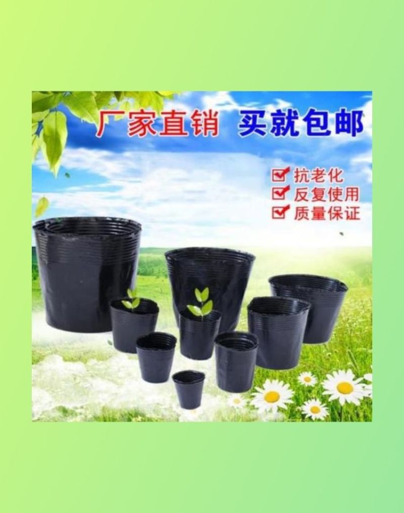 黑色塑料营养袋，育苗杯，一次性育苗盆，营养钵