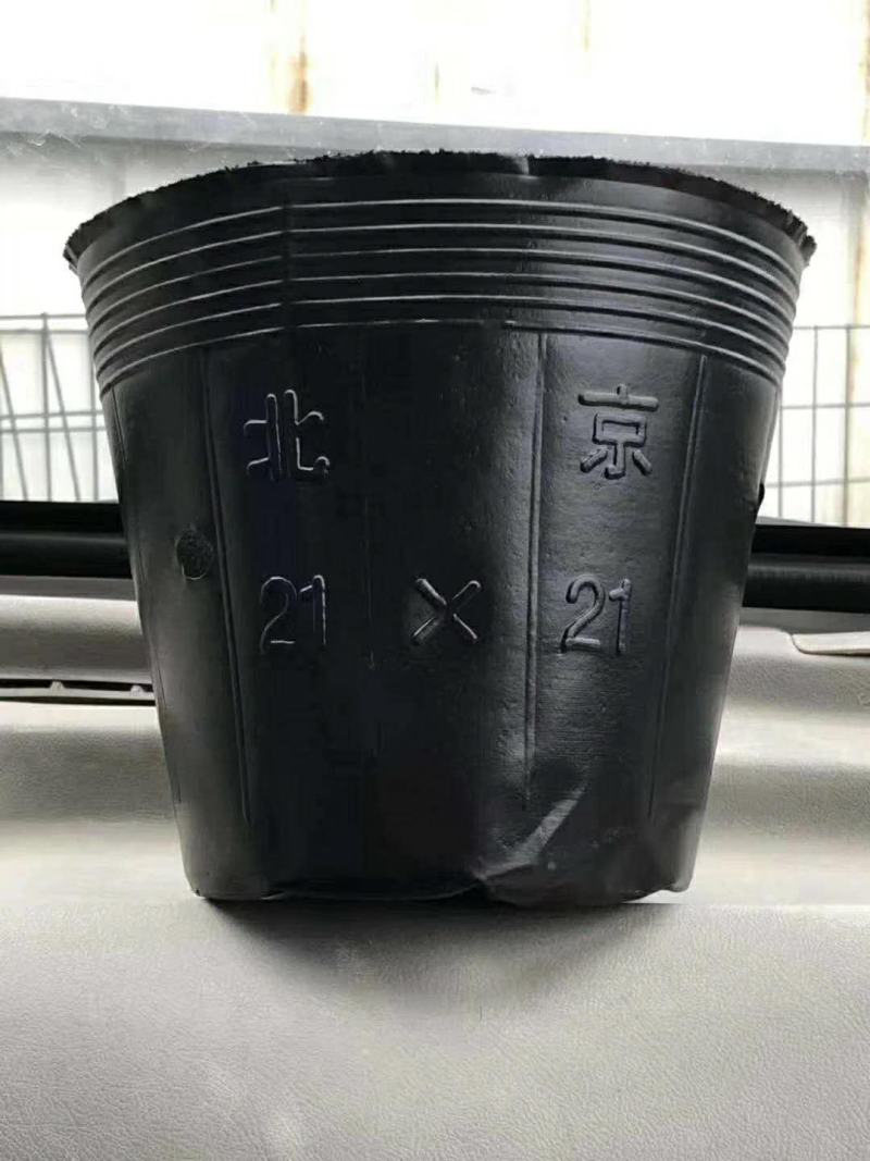 黑色塑料营养袋，育苗杯，一次性育苗盆，营养钵