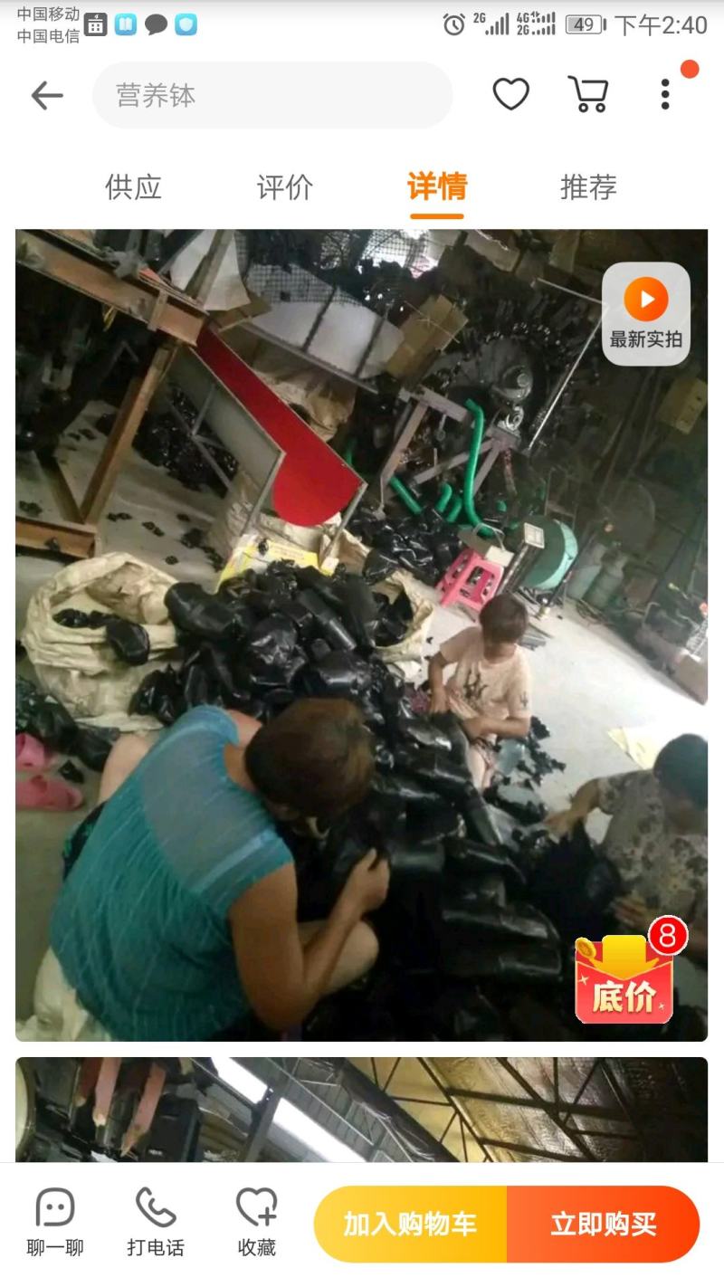 黑色塑料营养袋，育苗杯，一次性育苗盆，营养钵