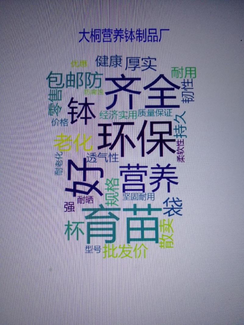 黑色塑料营养袋，育苗杯，一次性育苗盆，营养钵