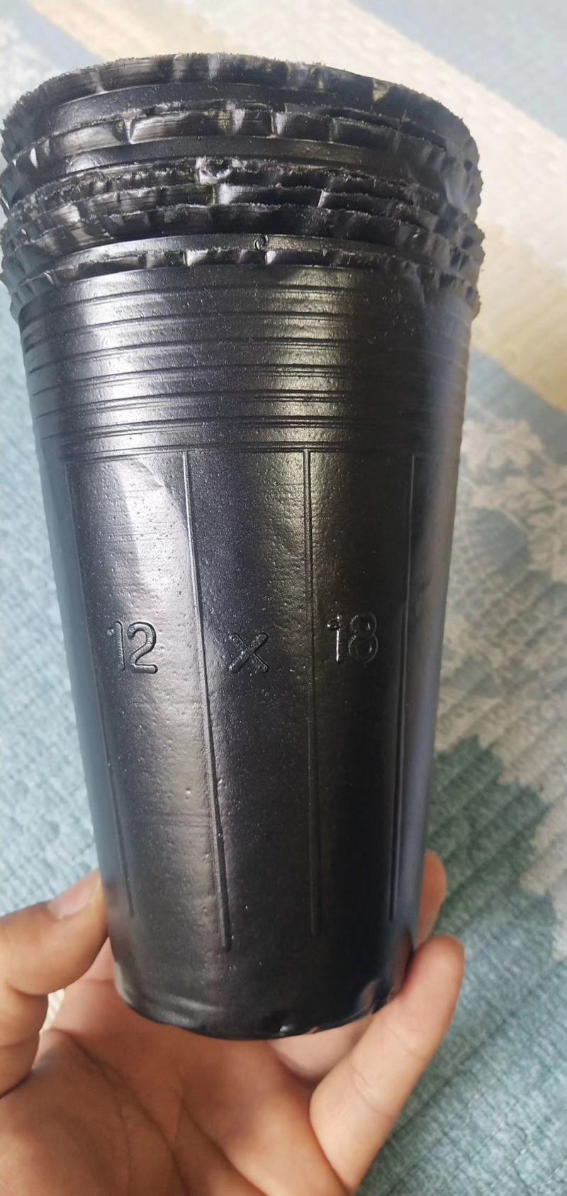 黑色塑料营养袋，育苗杯，一次性育苗盆，营养钵