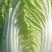 黄心大白菜、玲珑黄白菜上市了、欲速从购。。