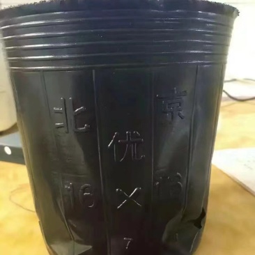 黑色育苗盆，营养袋，一次性营养钵，营养杯，零售批发