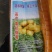 荷兰十五号土豆种子