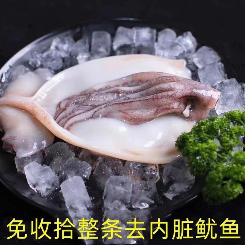 新鲜海补大鱿鱼去皮去内脏免处理鱿鱼新鲜海鲜自助餐批发
