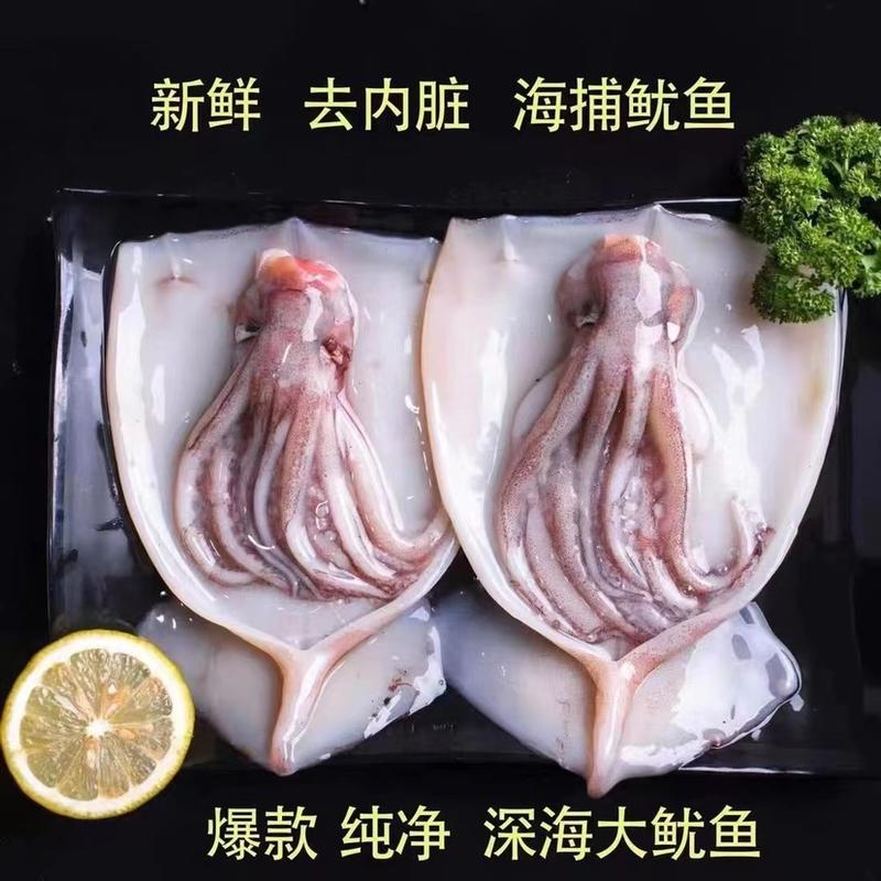 新鲜海补大鱿鱼去皮去内脏免处理鱿鱼新鲜海鲜自助餐批发