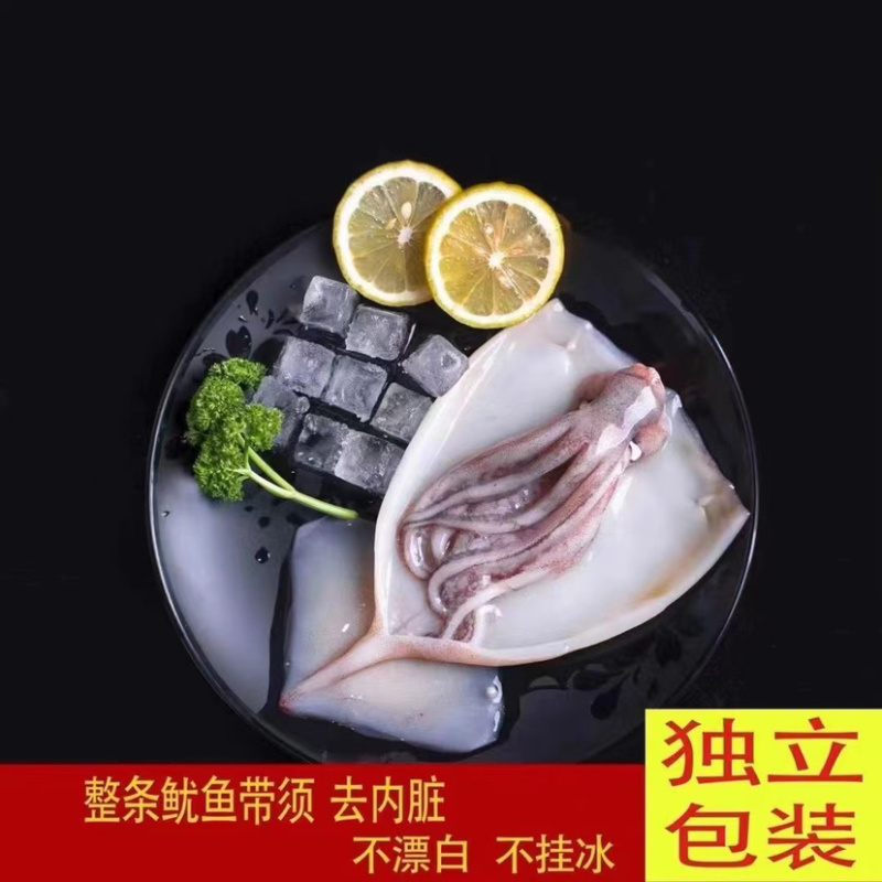 新鲜海补大鱿鱼去皮去内脏免处理鱿鱼新鲜海鲜自助餐批发