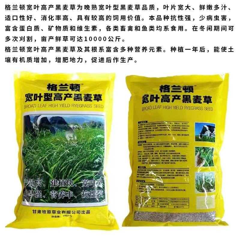 牧草种子，原厂包装黑麦草种子耐寒牧草畜牧养殖草种鸡鸭牛羊