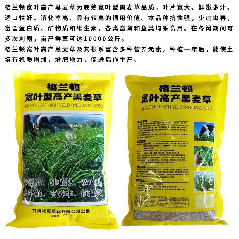 牧草种子，原厂包装黑麦草种子耐寒牧草畜牧养殖草种鸡鸭牛羊
