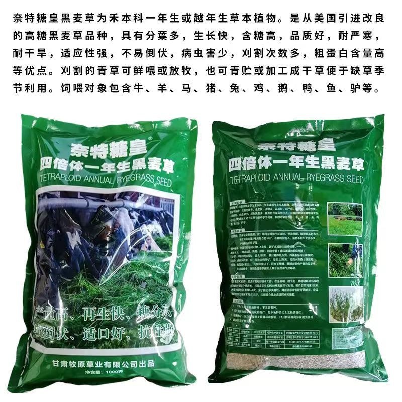 牧草种子，原厂包装黑麦草种子耐寒牧草畜牧养殖草种鸡鸭牛羊