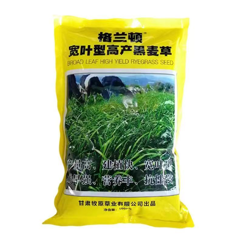 牧草种子，原厂包装黑麦草种子耐寒牧草畜牧养殖草种鸡鸭牛羊