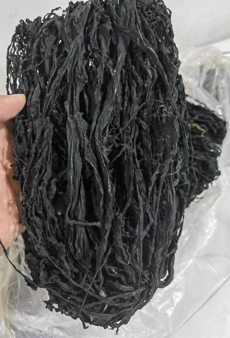 整棵裙带菜，螺旋海藻，清仓处理，高泡发，无杂质黄叶，批发