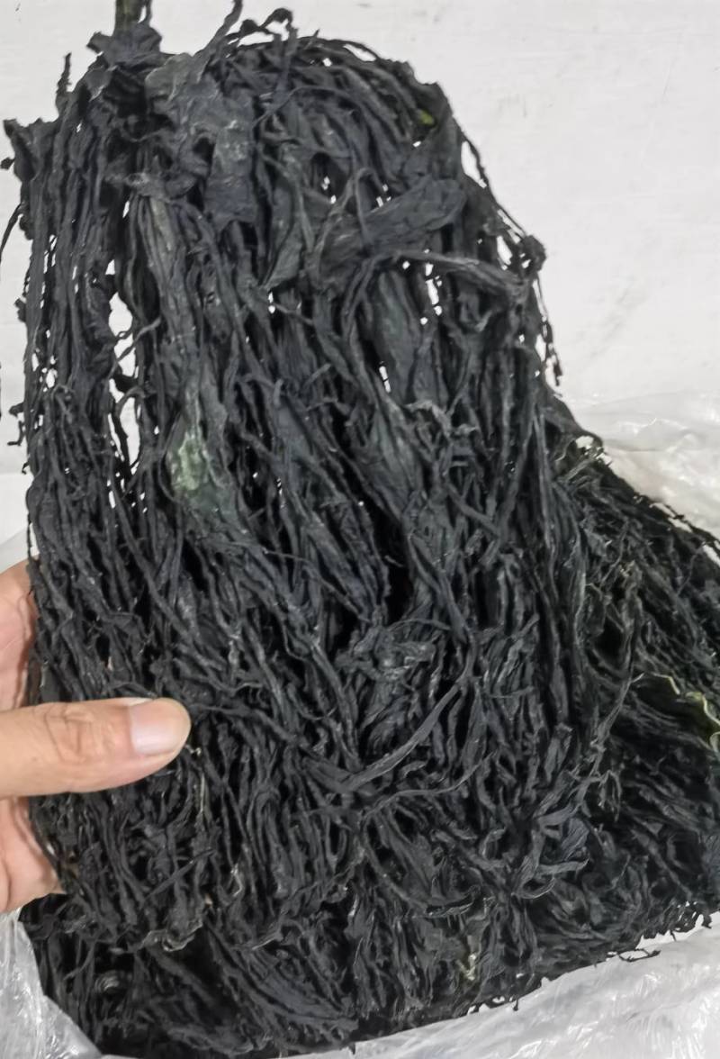 整棵裙带菜，螺旋海藻，清仓处理，高泡发，无杂质黄叶，批发