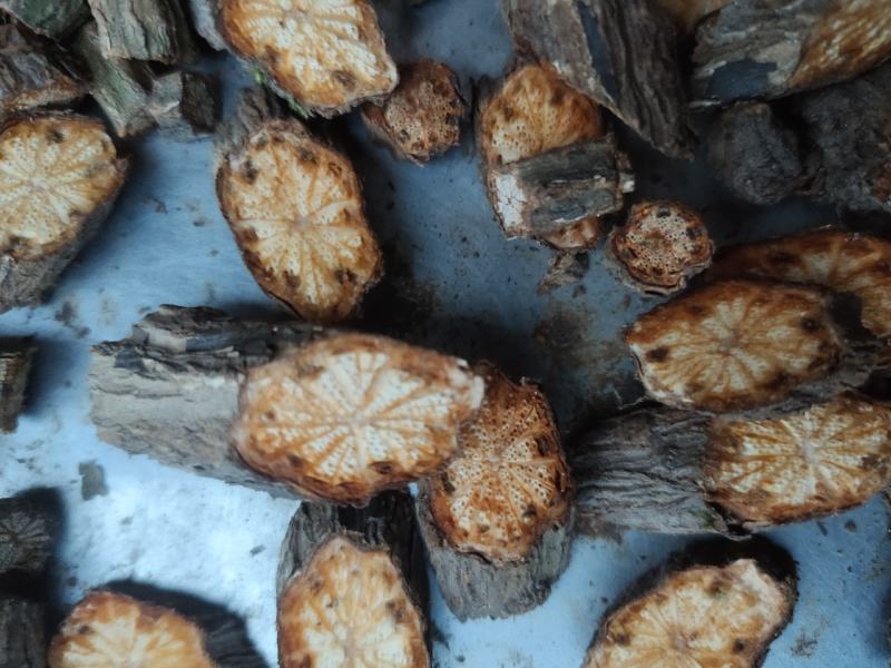 大血藤，产地重庆，一手货源，价格优惠货源充足