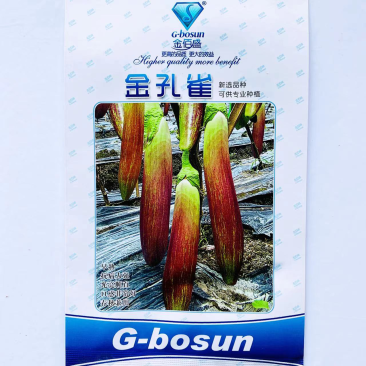 金佰盛金孔雀茄子种子杂交一代种子种子