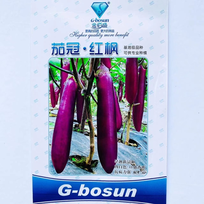 金佰盛金孔雀茄子种子杂交一代种子种子