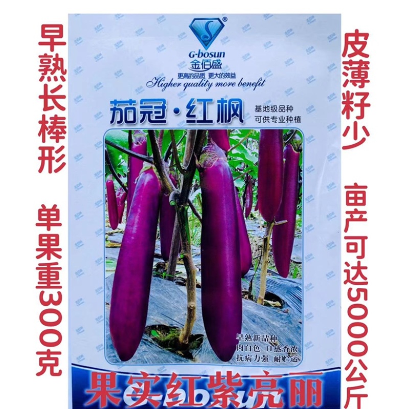 金佰盛金孔雀茄子种子杂交一代种子种子