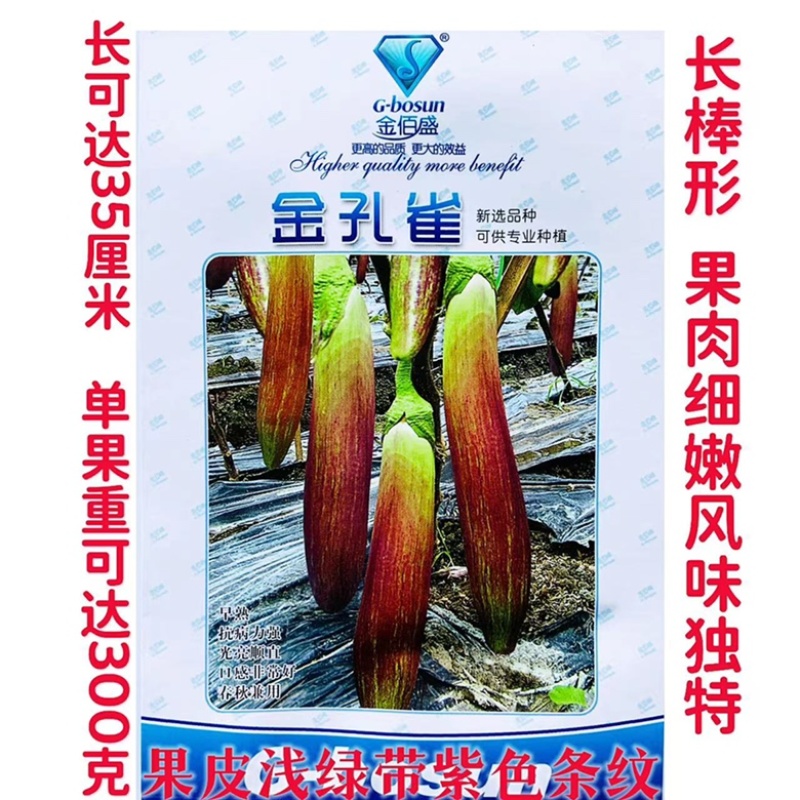 金佰盛金孔雀茄子种子杂交一代种子种子