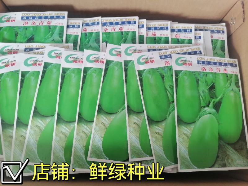 洛杂青茄：色油绿、质细嫩、籽少品质优商品性佳