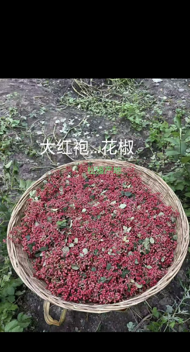 花椒