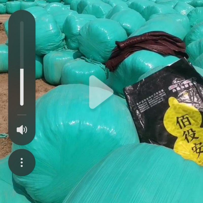 黄储玉米秸秆
