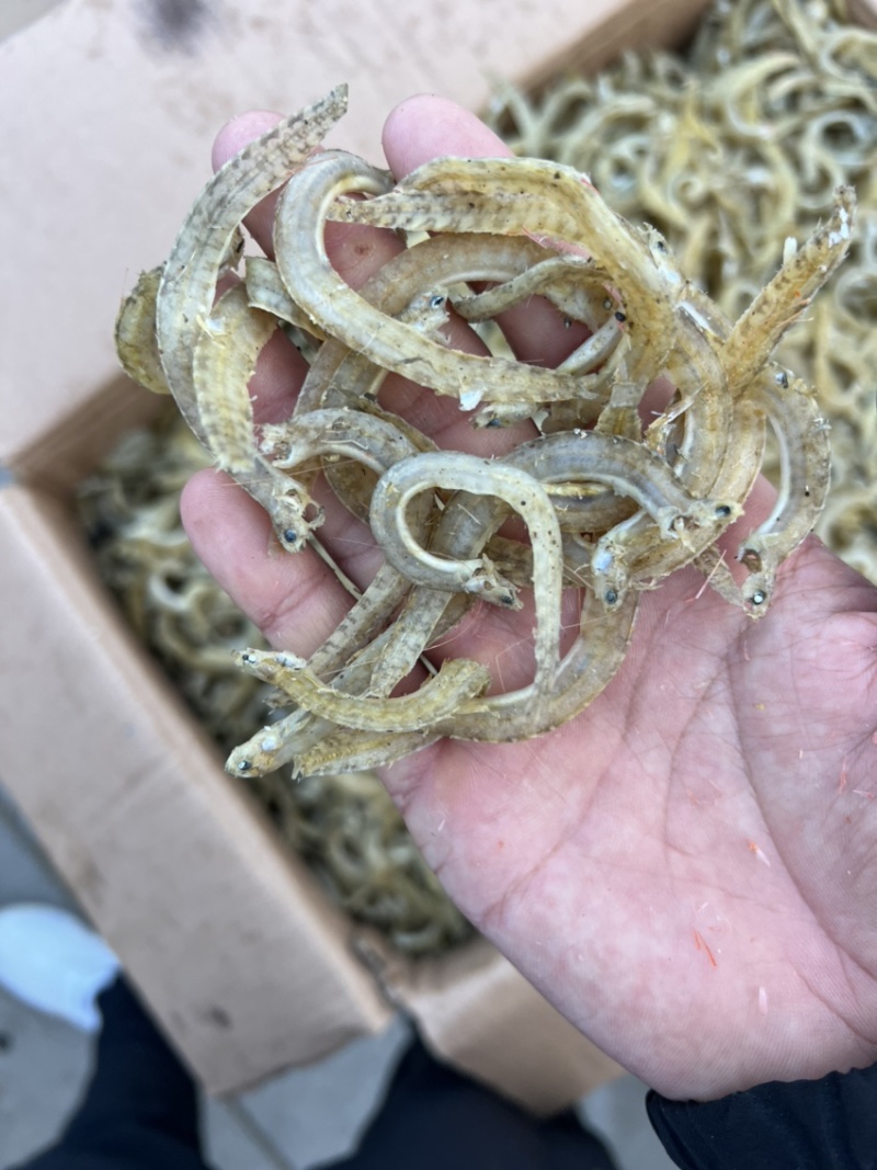 现加工精品凤尾鱼，干度好盐分低颜色漂亮，一手货源