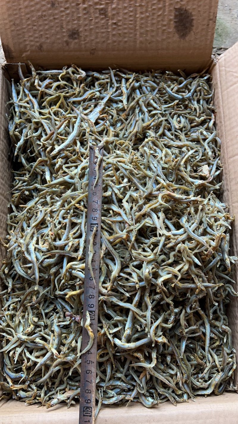 精品小条银针鱼干，干度好，不咸，食品级，价格美丽质量靠谱