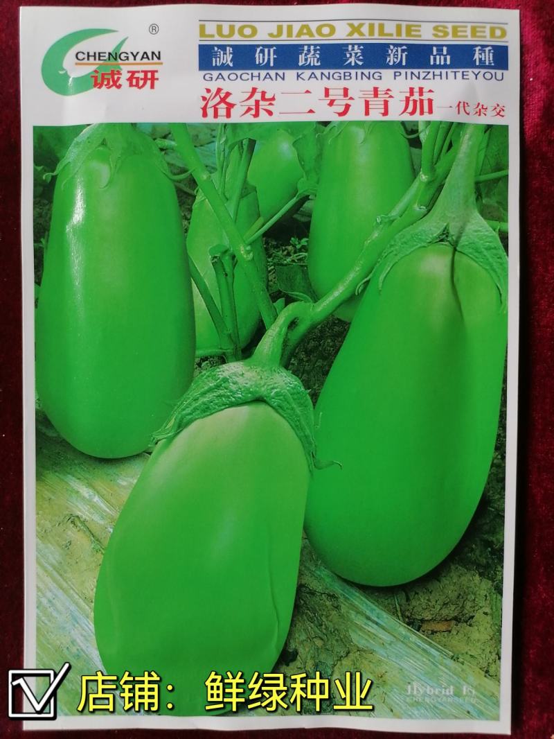 洛阳早青茄：色油绿质细嫩，籽少品质优保护地露地均可