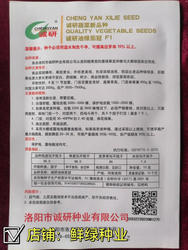洛阳早青茄：色油绿质细嫩，籽少品质优保护地露地均可
