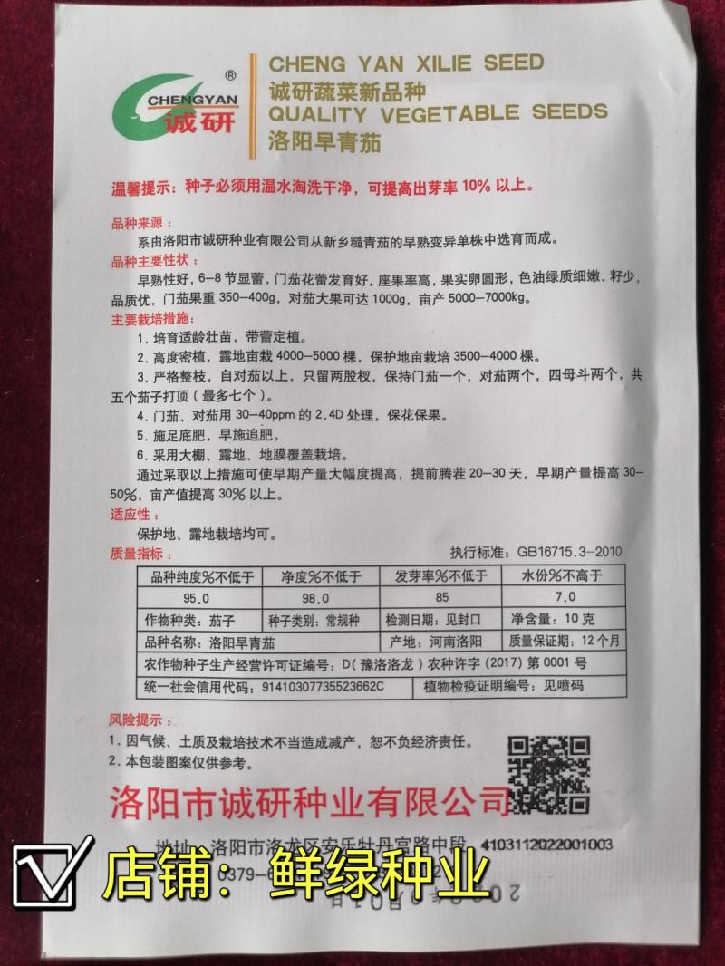 洛阳早青茄：色油绿质细嫩，籽少品质优保护地露地均可