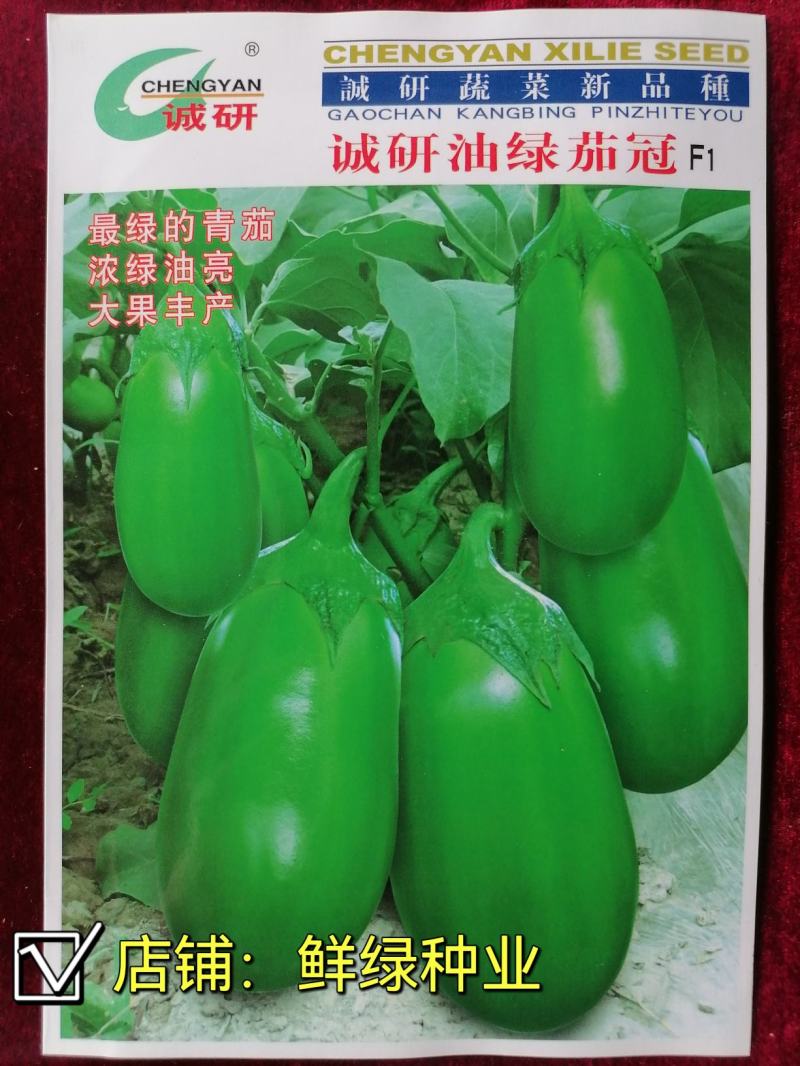 洛阳早青茄：色油绿质细嫩，籽少品质优保护地露地均可