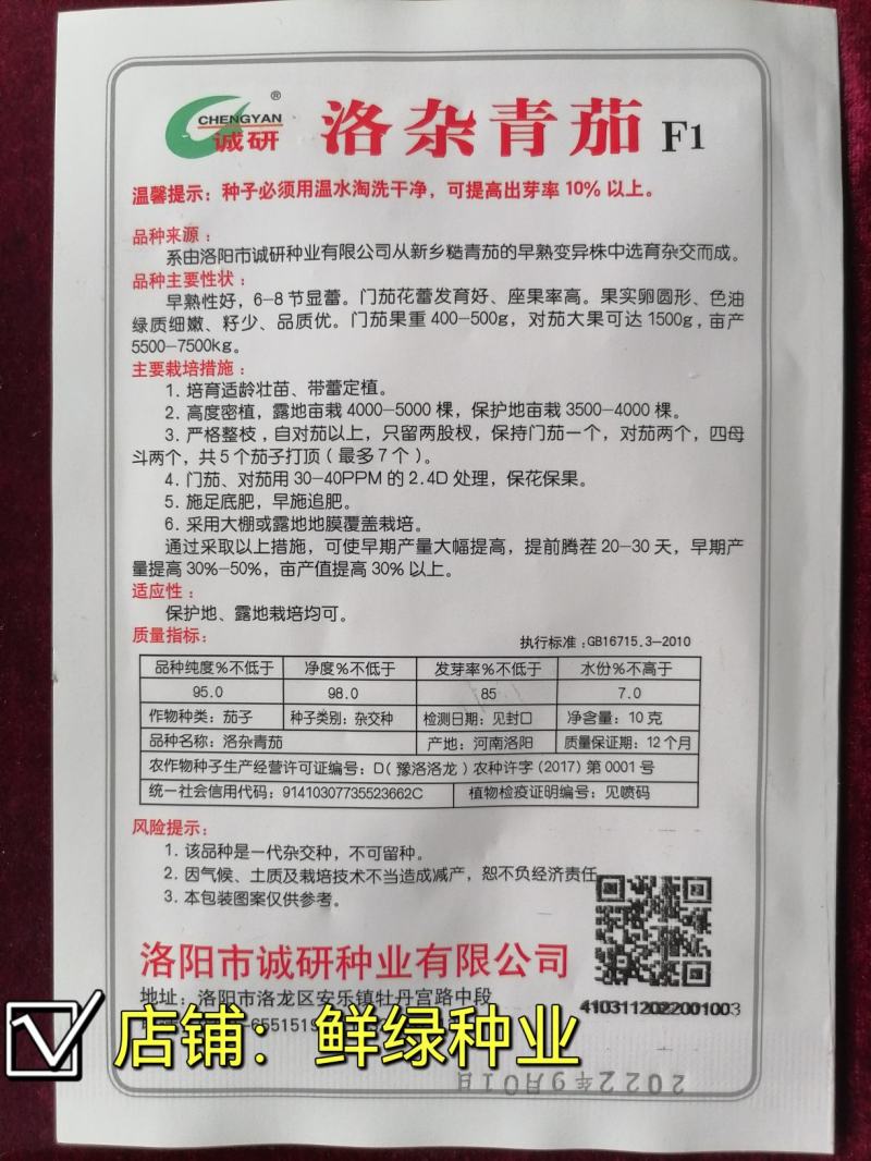 洛阳早青茄：色油绿质细嫩，籽少品质优保护地露地均可