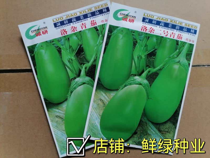 洛阳早青茄：色油绿质细嫩，籽少品质优保护地露地均可