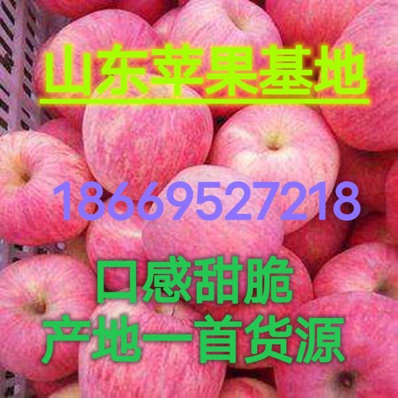 山东苹果苹果80以上，个头大，条纹片红都有口感甜脆。
