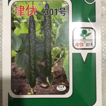 津优301早熟，把短有光泽耐低温弱光适温室大棚及早春大棚