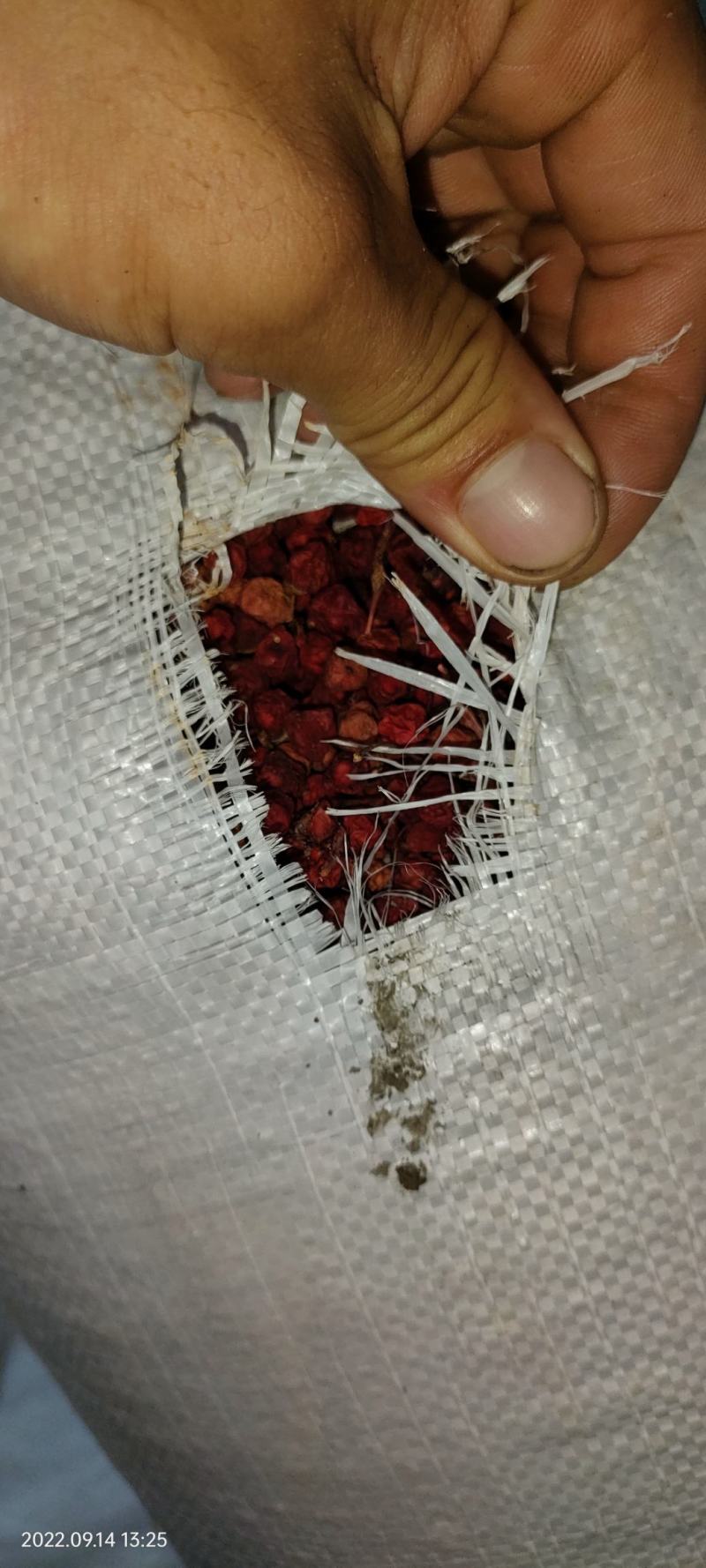 北五味子干品