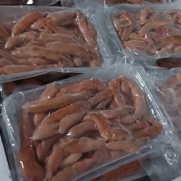 海肠冻板，莱州湾当地活海肠现杀现加工