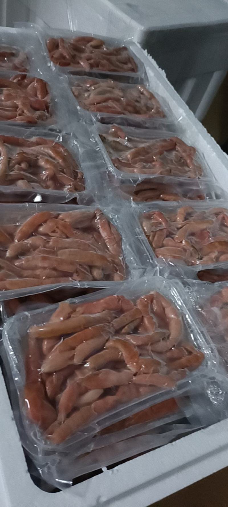 海肠冻板，莱州湾当地活海肠现杀现加工