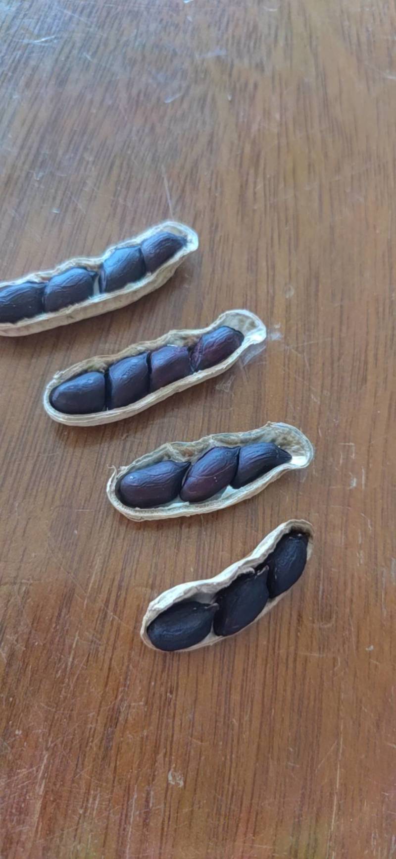 黑花生