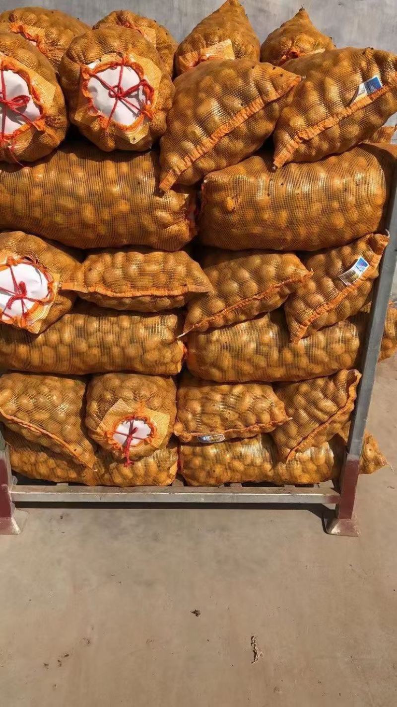 大量供1一3，现加工，现发货，2一4，2一5，2一7，8