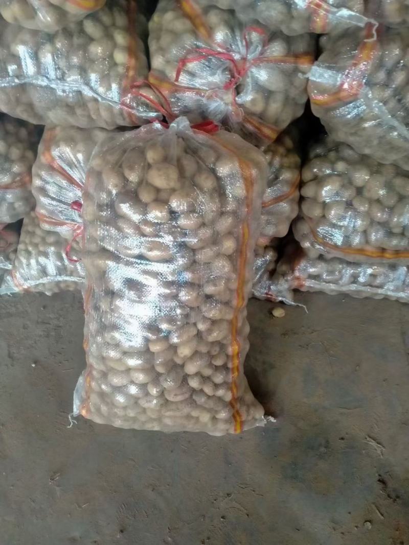 大量供1一3，现加工，现发货，2一4，2一5，2一7，8