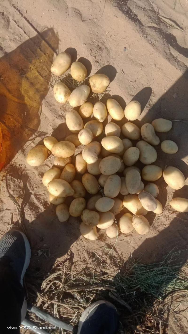 大量供1一3，现加工，现发货，2一4，2一5，2一7，8